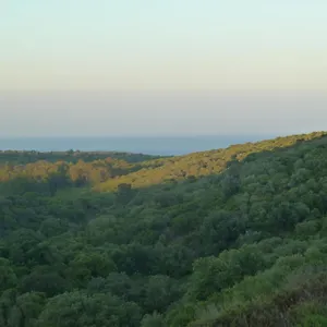 Apartamento Alcaidesa Golf&nature, San Roque (Andalucia)